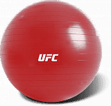   UFC 65 