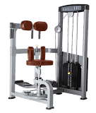 Торс-машина Bronze Gym D-011